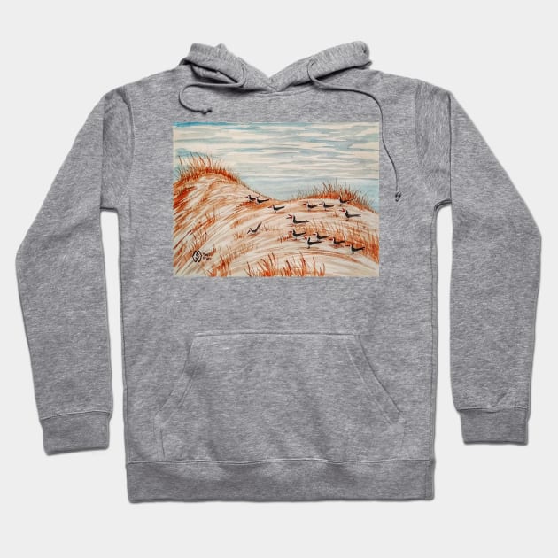 Black Skimmers Nesting Colony Hoodie by Matt Starr Fine Art